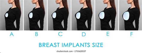 boobx|Breast Size Comparison Side by Side